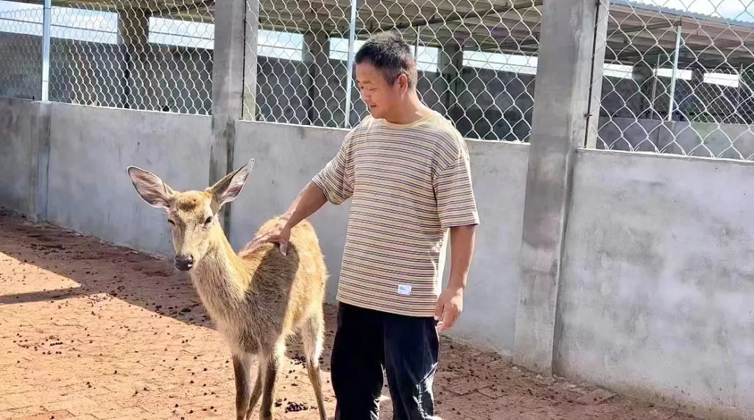 捕鱼游戏中心官网
